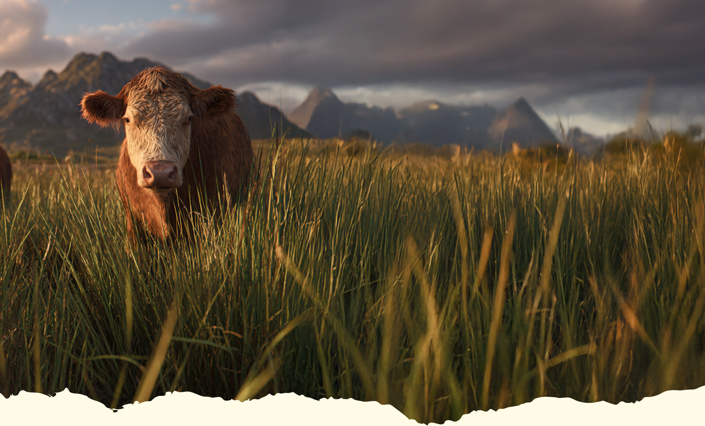 Why We Source From The End Of The Earth